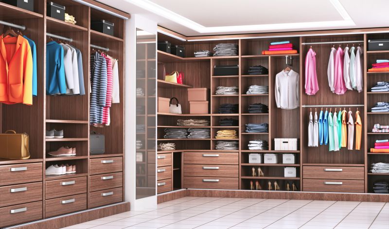 Closet Organization Vs Diy Storage Systems
